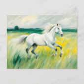 Weißes Pferd läuft über die Wiese Postkarte (Vorderseite)