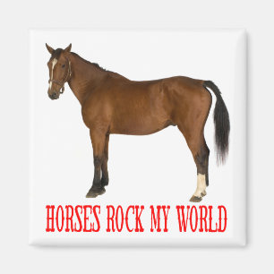 Weißes Pferd Liebhaber Western Reitsportfarm Pony Magnet