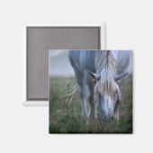 Weißes Pferd Magnet (Vorderseite/Rückseite)