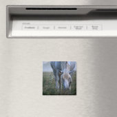 Weißes Pferd Magnet (In Situ (Geschirrspüler))