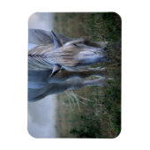 Weißes Pferd Magnet (Vertikal)