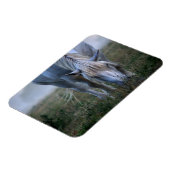 Weißes Pferd Magnet (Linke Seite)