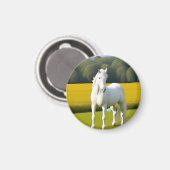 Weißes Pferd mit Blumengarten Magnet (Vorderseite/Rückseite)