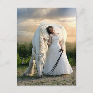 Weißes Pferd mit Bride Postkarte