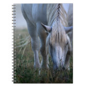 Weißes Pferd Notizblock (Vorderseite)