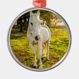 Weißes Pferd Ornament Aus Metall