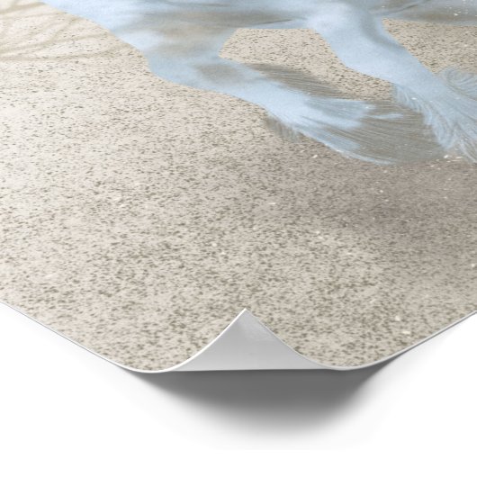 Weißes Pferd - Plakat (Ecke)