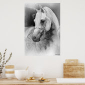 Weißes Pferd Poster (Küche)
