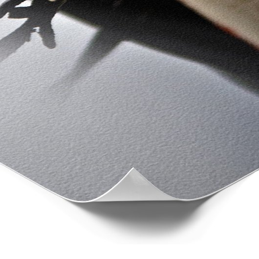 Weißes Pferd Poster (Ecke)