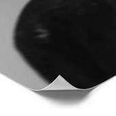 Weißes Pferd Poster, Print Poster (Ecke)