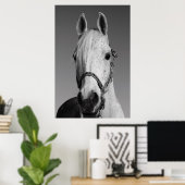 Weißes Pferd Poster, Print Poster (Heimbüro)