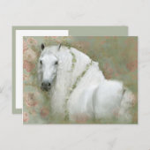 Weißes Pferd - Postkarte (Vorne/Hinten)