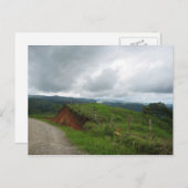 Weißes Pferd Postkarte (Vorne/Hinten)