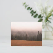 Weißes Pferd Postkarte (Stehend Vorderseite)