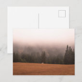 Weißes Pferd Postkarte (Vorne/Hinten)