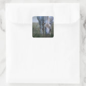 Weißes Pferd Quadratischer Aufkleber (Tasche)