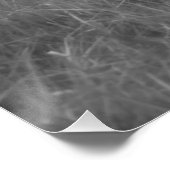 Weißes Pferd Rolling in Weideland Equine B&W Foto Poster (Ecke)