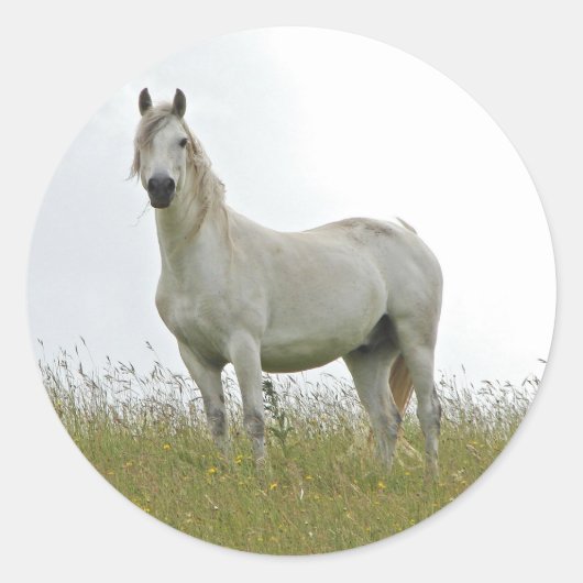 Weißes Pferd Runder Aufkleber (Vorderseite)