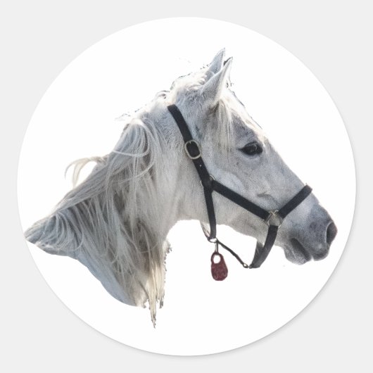 Weißes Pferd Runder Aufkleber (Vorderseite)