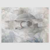 Weißes Pferd Seidenpapier (Vorderseite)