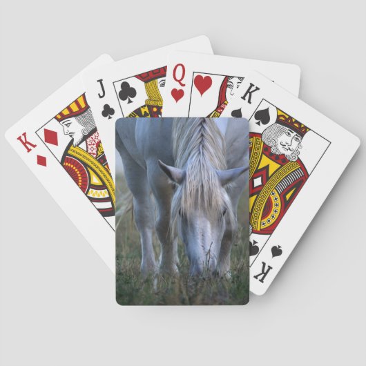 Weißes Pferd Spielkarten (Rückseite)
