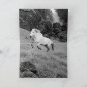 Weißes Pferd und die Grußkarte des Wasserfallpferd Karte (Innenseite)