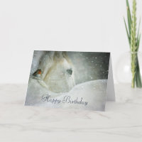 Weißes Pferd & Vogel im Winter Schneefall Geburtst