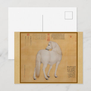 Weißes Pferd zurückblickend - Vintage chinesische Postkarte