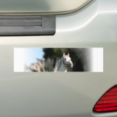 Weißes PferdeAutoaufkleber Autoaufkleber (Auf Auto)