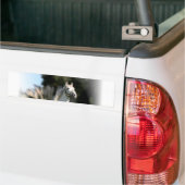 Weißes PferdeAutoaufkleber Autoaufkleber (Auf Lkw)