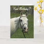 Weißes Pferdegeburtstags-Karte Karte (Gelbe Blume)
