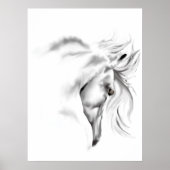 Weißes Pferdekopf-Poster Poster (Vorne)