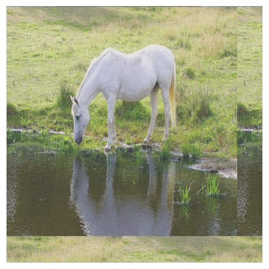 Weißes Pferdetrinkwasser-Gewebe Stoff (Nahaufnahme)