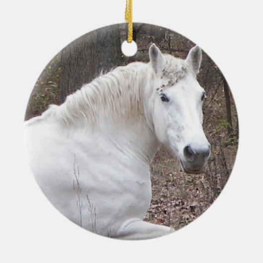 Weißes Pferdeverzierung Keramik Ornament (Hinten)