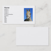 Weißes PferdeVisitenkarte Visitenkarte (Vorne/Hinten)