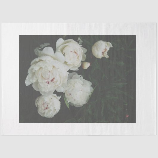 Weißes Pfingstpapier Seidenpapier (Vorderseite)