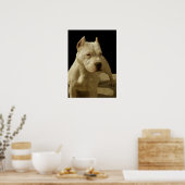 Weißes Pillbullposter Poster (Küche)