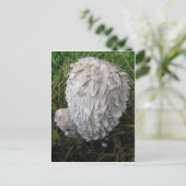 Weißes Pilz Postkarte (Stehend Vorderseite)