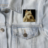 Weißes pitbull button (Beispiel)