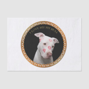 Weißes pitbull mit Rot küsst alle über seinem Seidenpapier