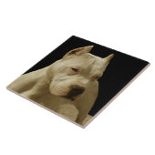 Weißes Pitbull Terrier Fliese (Seite)