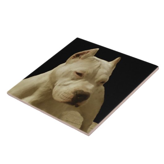 Weißes Pitbull Terrier Fliese (Seite)