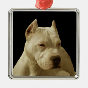 Weißes Pitbull Terrier Ornament Aus Metall