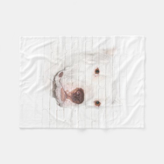 Weißes pitbull Terriergesicht Fleecedecke (Vorderseite (Horizontal))
