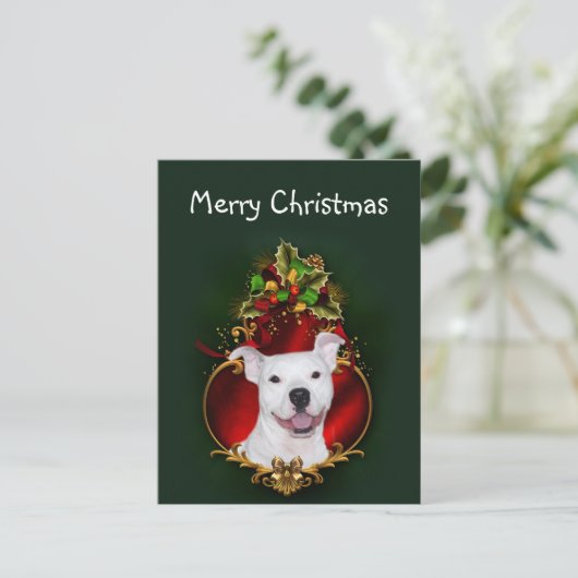 Weißes pitbull Weihnachten (Stehend Vorderseite)