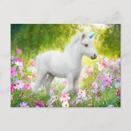 Weißes Pony Einhorn Postkarte (Vorderseite)