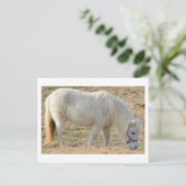 Weißes Pony Postkarte (Stehend Vorderseite)