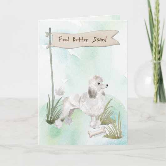 Weißes Poodle fühlt sich nach der Operation mit de Karte (Vorderseite)