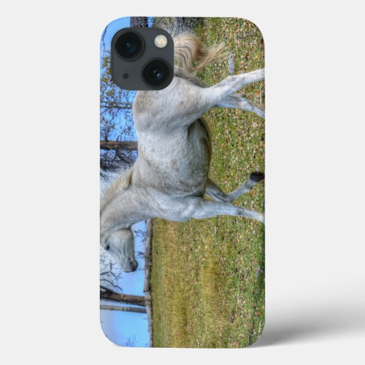 Weißes Reittier-Foto auf einer BC Ranch Case-Mate iPhone Hülle (Rückseite)