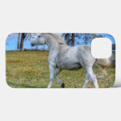 Weißes Reittier-Foto auf einer BC Ranch Case-Mate iPhone Hülle (Rückseite (Horizontal))